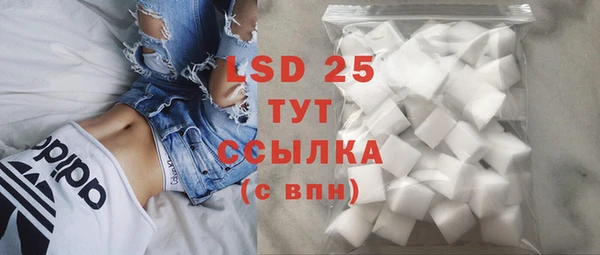 PSILOCYBIN Алексеевка